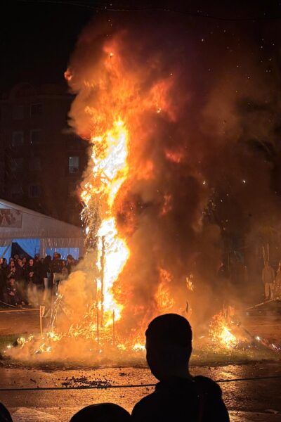 Falla San Carlos Albal